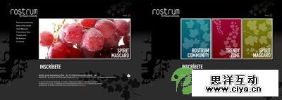 Dreamweaver网页版式风向标:黑底炫彩设计