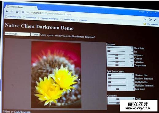 Google Native Client