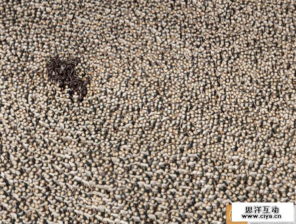 这些方法，让摸不着的创意有律可循