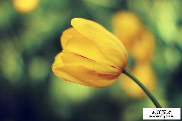 如何看懂照片直方图