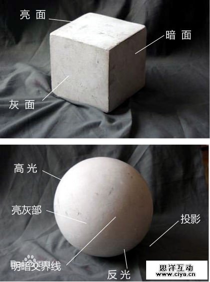非科班同学有福啦！手把手教你从零基础开始学素描！