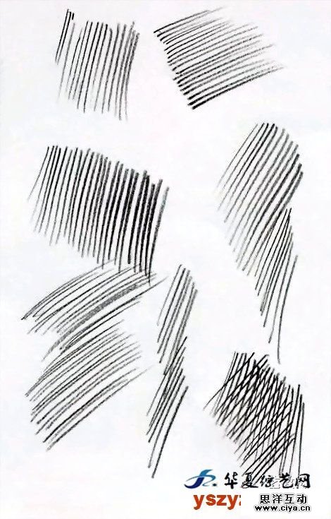 非科班同学有福啦!手把手教你从零基础开始学素描!