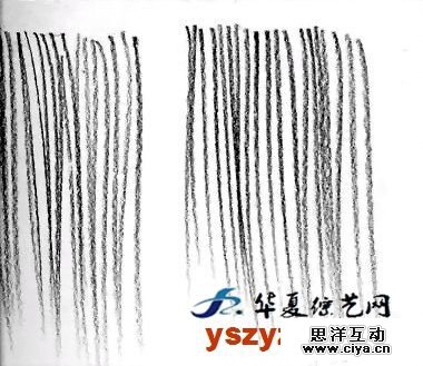 非科班同学有福啦！手把手教你从零基础开始学素描！