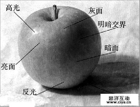 非科班同学有福啦！手把手教你从零基础开始学素描！