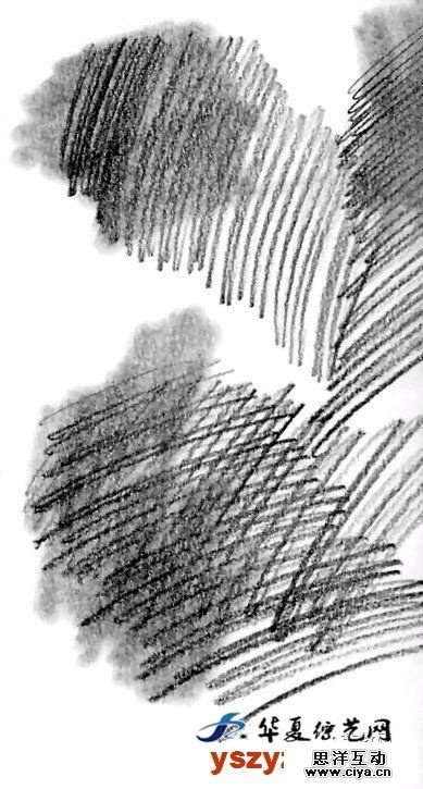 非科班同学有福啦！手把手教你从零基础开始学素描！