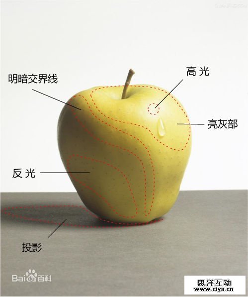 非科班同学有福啦！手把手教你从零基础开始学素描！