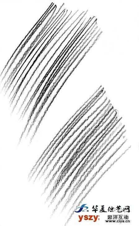 非科班同学有福啦！手把手教你从零基础开始学素描！