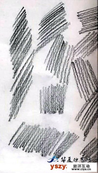 非科班同学有福啦！手把手教你从零基础开始学素描！