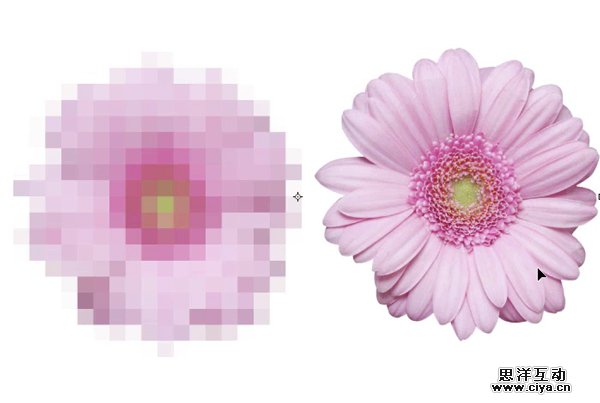 涨姿势！关于智能对象必知的10件事