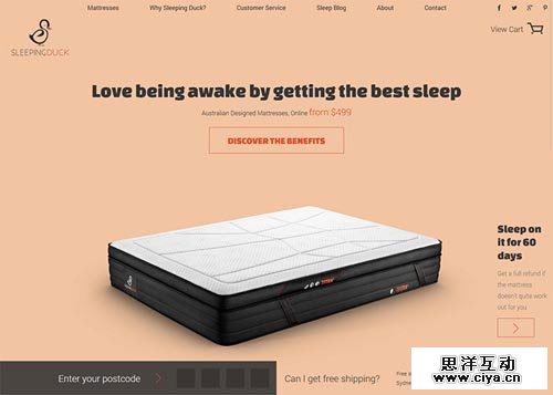 Sleeping Duck 网页设计欣赏