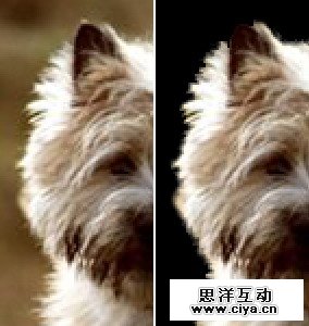 fa3dafaf854b75c343641d06b74ea69d 14 2 使用抽出滤镜