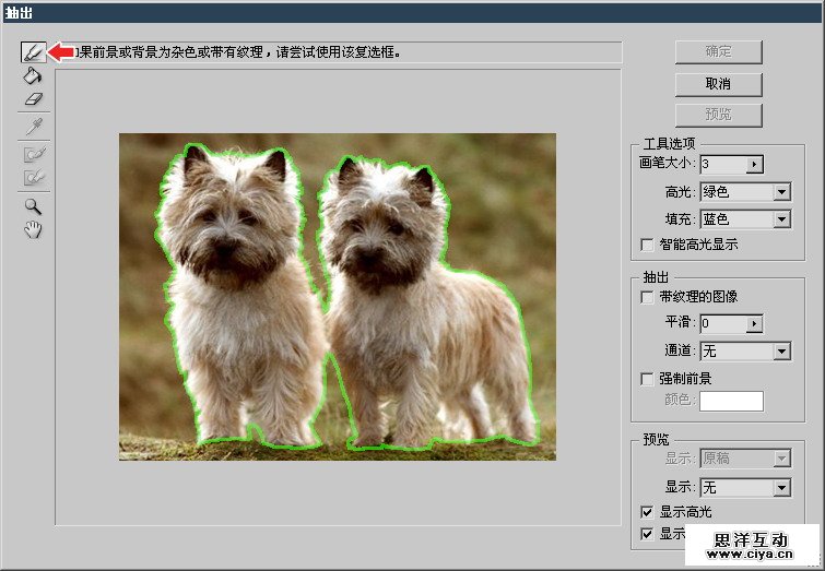 e963882d95eb93075eac7d63c55456ce 14 2 使用抽出滤镜