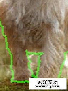 9f482e9f407b26ef0362a2458311860c 14 2 使用抽出滤镜