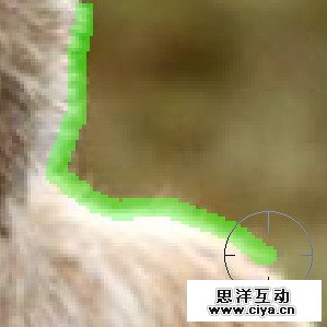 ca08b0c268d1ff71748fd1a6762b4ddf 14 2 使用抽出滤镜