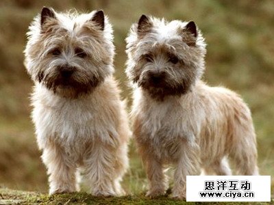 7334c9be44d912f0737e04bbca84f732 14 2 使用抽出滤镜