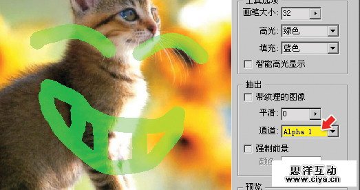 7c8b213b01ef04e0f3f166f82ba17f47 14 2 使用抽出滤镜