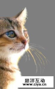 73b4ccf480b7ae1bfca6af2649f08c29 14 2 使用抽出滤镜