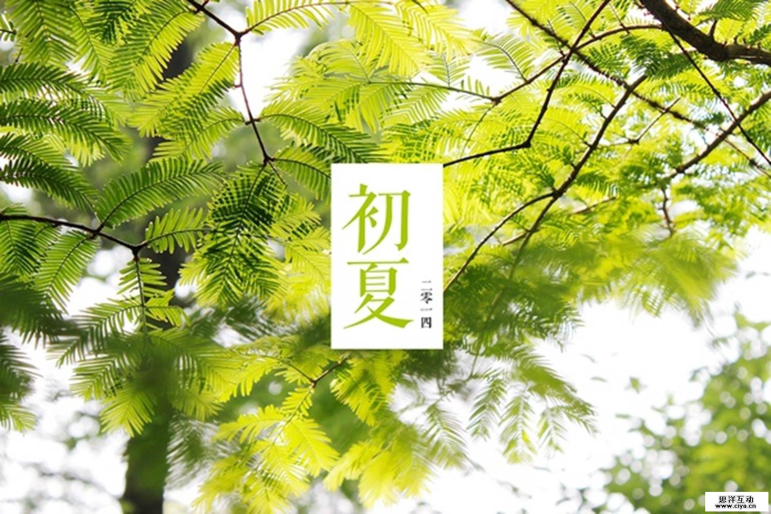 超全面教程！给照片添加文字有哪10个高大上的方法？