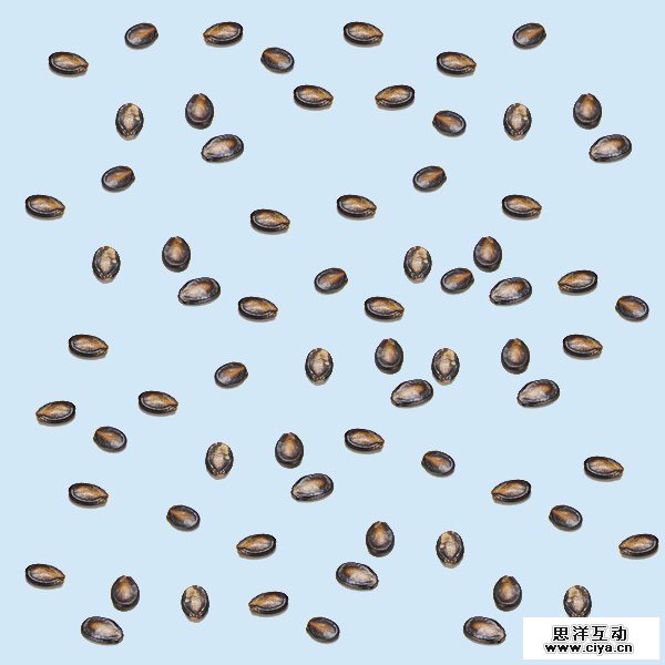 你百分百不知道的四大PS技巧