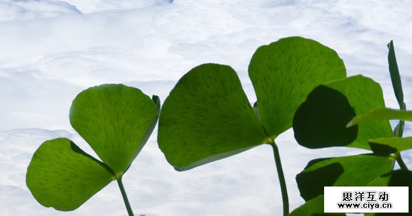 你百分百不知道的四大PS技巧