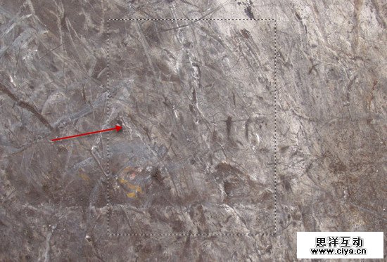 从小白到大神！PS合成魔幻鲜花人像特效