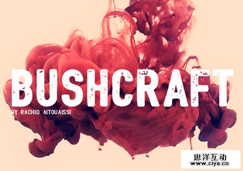 Bushcraft free font