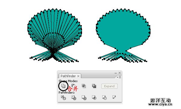AI教程！手把手教你绘制一枚精美逼真的贝壳