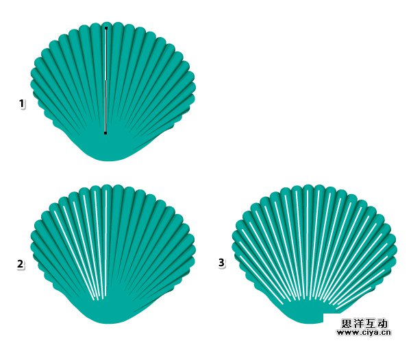 AI教程！手把手教你绘制一枚精美逼真的贝壳