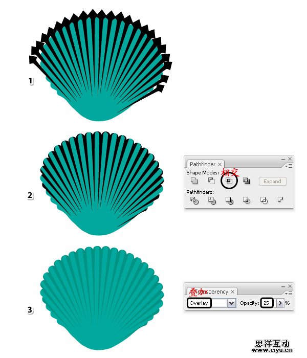 AI教程！手把手教你绘制一枚精美逼真的贝壳