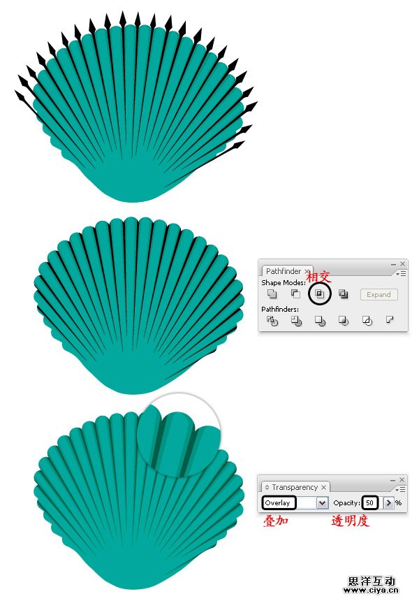 AI教程！手把手教你绘制一枚精美逼真的贝壳