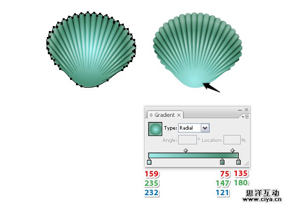 AI教程！手把手教你绘制一枚精美逼真的贝壳