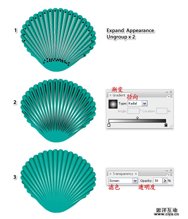 AI教程！手把手教你绘制一枚精美逼真的贝壳