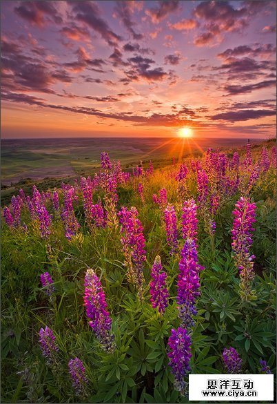 高手支招！怎样分辨图片是否被PS过