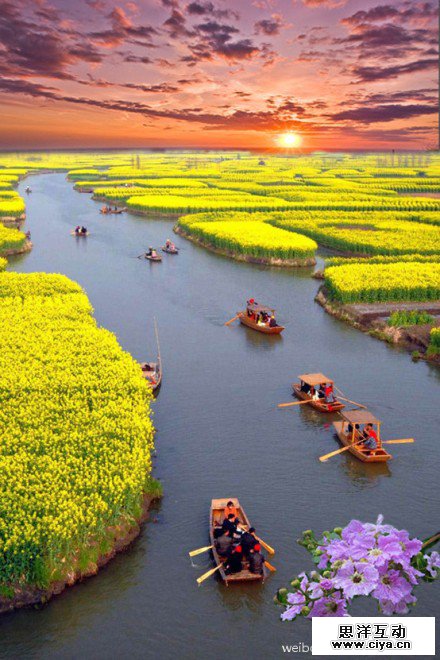 高手支招！怎样分辨图片是否被PS过