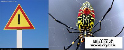 涨姿势！为什么有的颜色看起来非常高档？