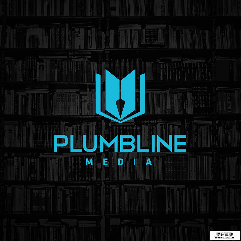 plumbline media