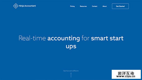 Ninja Accountant