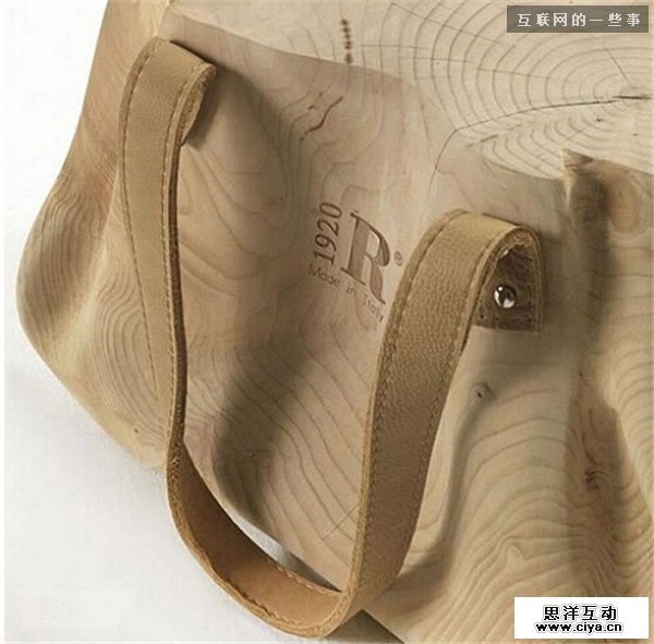 仿生设计：来自大自然的创意,互联网的一些事