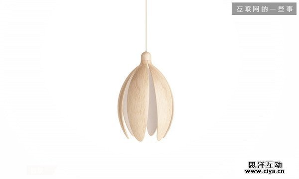 仿生设计：来自大自然的创意,互联网的一些事