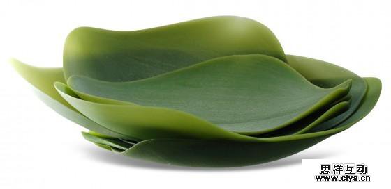 仿生设计：来自大自然的创意,互联网的一些事