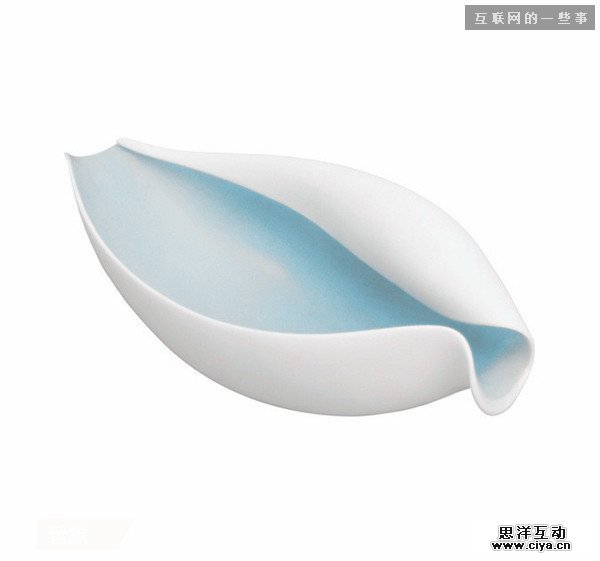 仿生设计：来自大自然的创意,互联网的一些事