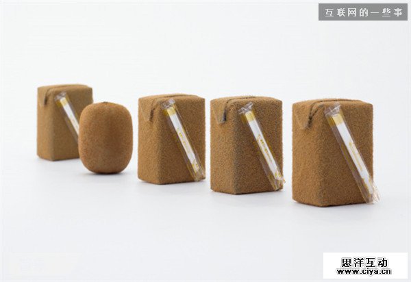 仿生设计：来自大自然的创意,互联网的一些事