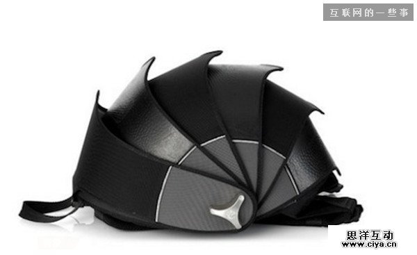 仿生设计：来自大自然的创意,互联网的一些事