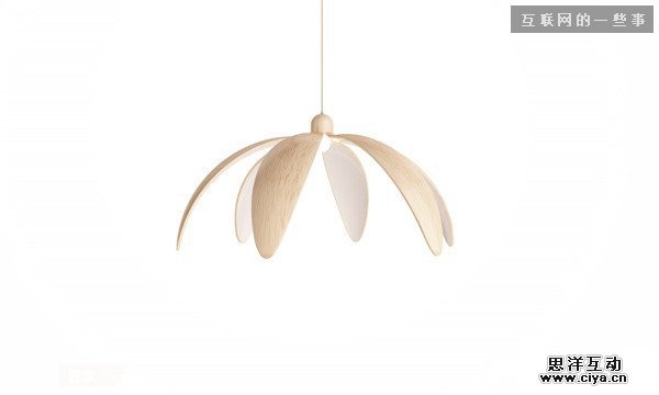 仿生设计：来自大自然的创意,互联网的一些事