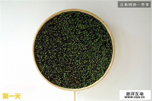 仿生设计：来自大自然的创意,互联网的一些事