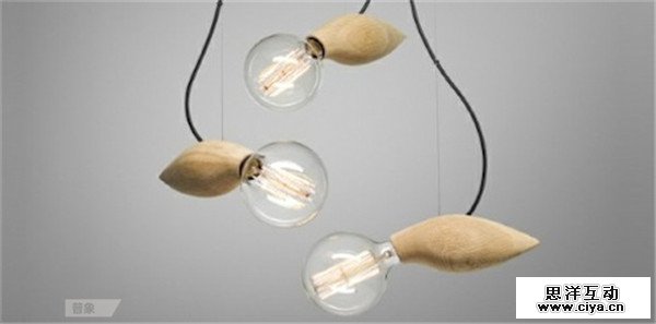 仿生设计：来自大自然的创意,互联网的一些事