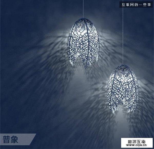 仿生设计：来自大自然的创意,互联网的一些事