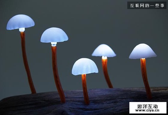 仿生设计：来自大自然的创意,互联网的一些事