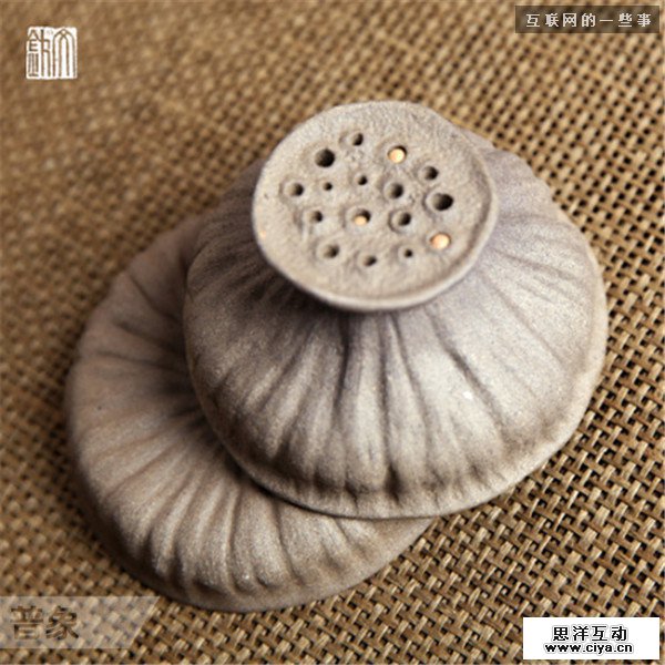 仿生设计：来自大自然的创意,互联网的一些事