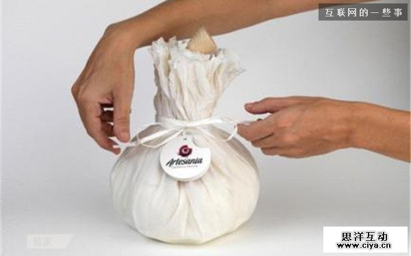 仿生设计：来自大自然的创意,互联网的一些事